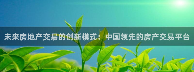 新宝5天：未来房地产交易的创新模式：中国领先的房产交易平台