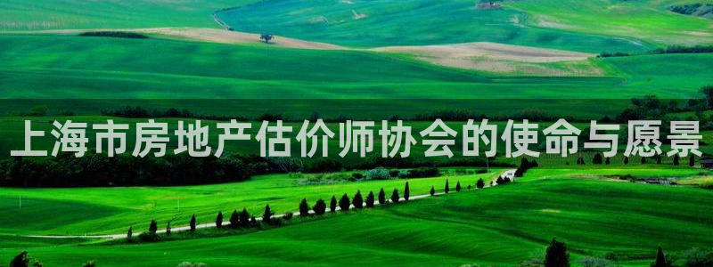 新宝5：上海市房地产估价师协会的使命与愿景