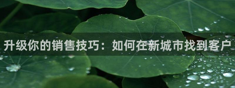 新宝速5：升级你的销售技巧：如何在新城市找到客户