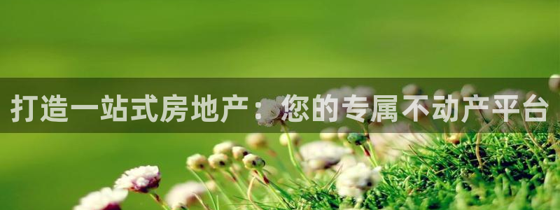 股票5G宝新：打造一站式房地产：您的专属不动产平台